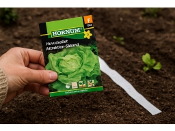 Produktguide testar Huvudsallat Attraktion - Såband