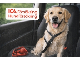 Produktguide testar ICA Hundförsäkring