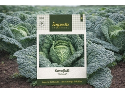 Produktguide testar Impecta Fröhandel, Savojkål Vertus 2