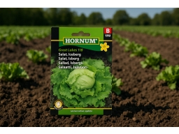 Produktguide testar Isbergssallat Great Lakes 118 frö