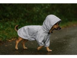 Produktguide testar ItsyBitsy Typhoon Reflekterande Regnjacka