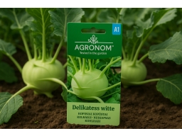 Produktguide testar Kålrabbi Delikatess Witte