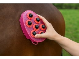 Produktguide testar Kerbl Magnetisk Massageborste och Gummiskrapa