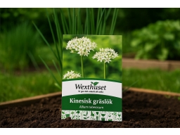 Produktguide testar Kinesisk gräslök