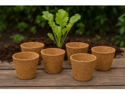 Produktguide testar Kokoskruka 6cm 6-pack