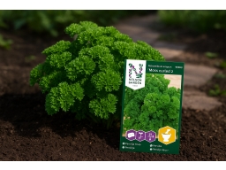Produktguide testar Kruspersilja Moss Curled