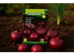 Produktguide testar Lök De Brunswick