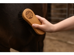 Produktguide testar Magic Brush - Cleaning Brush Coarse - Grov Rotborste