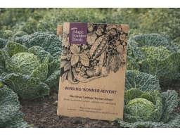 Produktguide testar Magic Garden Seeds Savoykål Advent