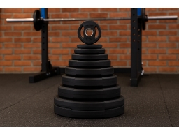 Produktguide testar Master Fitness Gummiklädd Skiva Deluxe, Viktskiva Gummerad