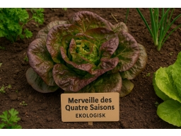 Produktguide testar Merveille des Quatre Saisons, ekologisk