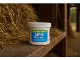 Produktguide testar NAF NaturalintX MSM Salva 250g