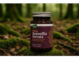 Produktguide testar Nature Provides Boswellia Serrata