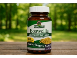 Produktguide testar Nature’s Answer Boswellia