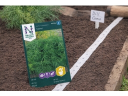 Produktguide testar Nelson Garden Dill Como, såband