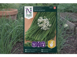Produktguide testar Nelson Garden Kinesisk Gräslök, Garlic oriental