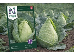 Produktguide testar Nelson Garden Spetskål Express