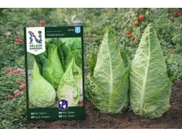 Produktguide testar Nelson Garden Spetskål Filderkraut