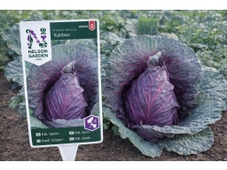 Produktguide testar Nelson Garden Spetskål Kalibos