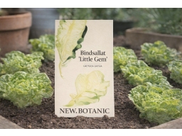 Produktguide testar New Botanic Lettuce Little Gem