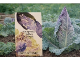 Produktguide testar New Botanic Red Pointed Cabbage Kalibos, Organic