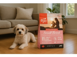 Produktguide testar Orijen Dog Small Breed
