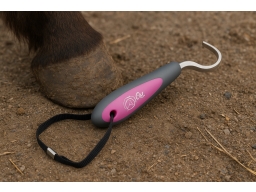 Produktguide testar Oster Hovkrats - Rosa