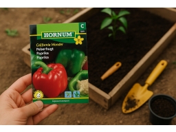Produktguide testar Paprika California Wonder