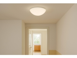 Produktguide testar Plafond- och vägglampa PANDORA 20 cm
