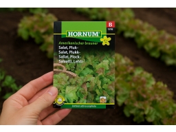 Produktguide testar Plocksallat Amerikanischer brauner frö
