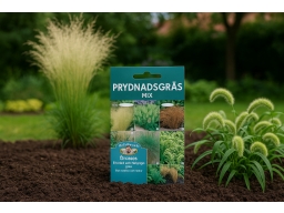 Produktguide testar Prydnadsgräs mix