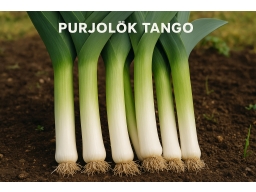 Produktguide testar Purjolök Tango