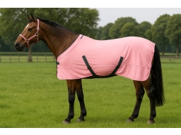 Produktguide testar QHP Sommartäcke Coolmesh - Flamingo Pink