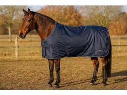 Produktguide testar QHP Turnout Föltäcke 100g - Marinblå 