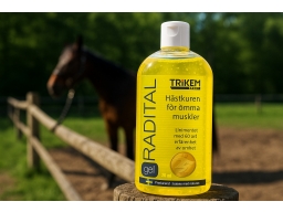 Produktguide testar Radital Liniment Gel 250 ml