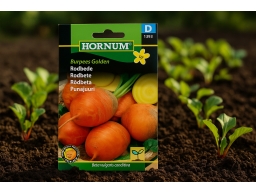 Produktguide testar Rödbeta Burpees Golden Frö