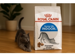 Produktguide testar Royal Canin Indoor