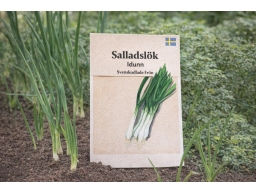 Produktguide testar Salladslök Idunn, svenskodlade frön