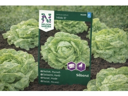 Produktguide testar Sallat, Huvud-, Hilde II, Såband