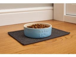 Produktguide testar Scruffs My First Bowl Matskål Keramik Blå