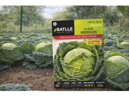 Produktguide testar Semillas Batlle Kohl Milan Aubervillers Melena