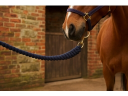 Produktguide testar Shires Wessex Extra Långt Grimskaft-3M