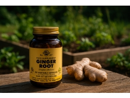 Produktguide testar Solgar Ginger Root