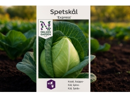 Produktguide testar Spetskål Express