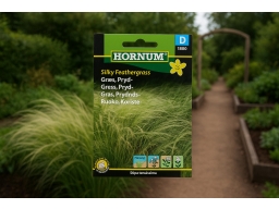 Produktguide testar Svansfjäder Silky Feathergrass