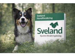 Produktguide testar Sveland Hundförsäkring
