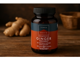Produktguide testar Terranova Fermented Ginger Ferzinger