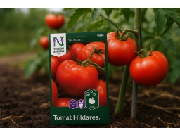 Produktguide testar Tomat Hildares