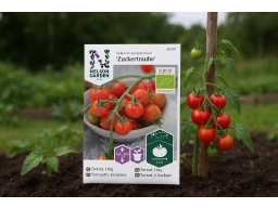 Produktguide testar Tomat Zuckertraube