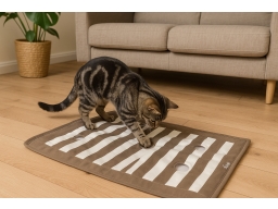 Produktguide testar Trixie Katt Aktivitetsmatta